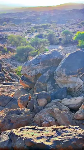 #تنومه 