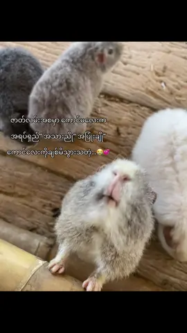 muahhh💕 #moots? #fyppppppppppppppppppppppp #foryoupage #viwers #tiktok 