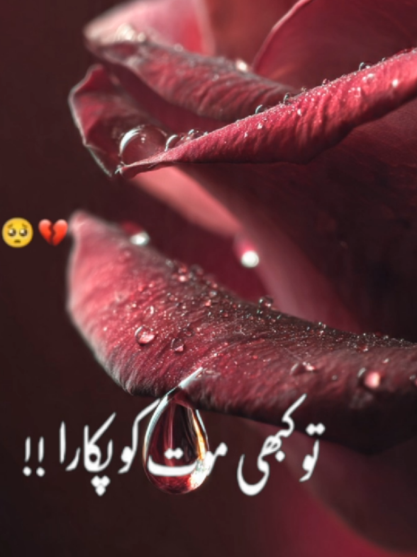 No destination is mine, no shore to call my own, Loneliness my gathering, memories my throne. Time stole laughter from my every dawn, Now even dreams carry the ache that’s born. After parting ways, the days turned cold, Sometimes I craved life, sometimes death’s hold. I gave all my love, my truth, my care, Yet destiny answered with pain to bear. Now I talk to silence in nights so deep, Where their echo still wakes what I cannot keep. No journey left, no companion near, Just waves of memories… and my silent tear. 💔 #creatorsearchinsights #fyp #Foryou #Sadpoetry #Viral 