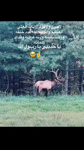 #استغفرالله_واتوب_اليه_من_كل_ذنب_عظيم #قران_كريم_ارح_سمعك_وقلبك #🕊😴اكسبلورexplor #Canada #canada🇨🇦 لاحول ولاقوة الابالله العلي العظيم واتوب اليه عدد خلقه ورضا نفسه وزنه عرشه ومداد كلماته