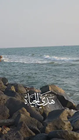 #هذي الحياة  # دروس مجانية من الحياة 