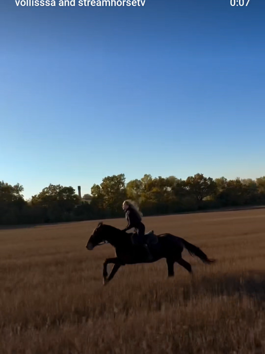 horsepower therapy 🏇 🥰🎥 @vollisssa #horse #horsepower #horselove #therapy #equestrian