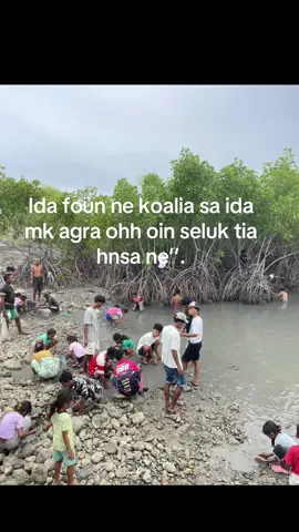 #fypmasukbrandatiktokviral💫 