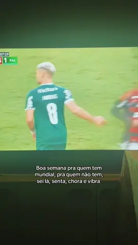 O resto é resto  #flamengo #palmeiras #mundial #fy #viral 