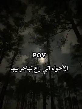 أكثر بلد اتريد تهاجرلة؟ ؟#العراق #الوضع_الان # #الهجرة_الى_اوروبا🇪🇺 #اوربا_المانيا_النمسا_هولند #fyp 