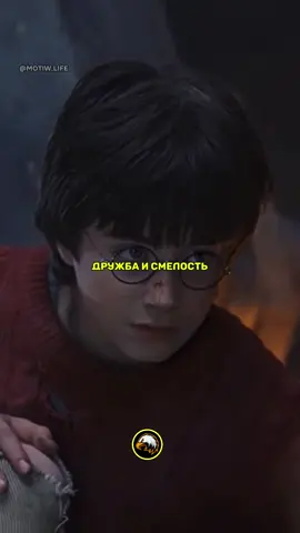 «Гарри Поттер» 🧠 #гаррипотер #дамблдор #римуслюпин #гермиона #сириусблэк 