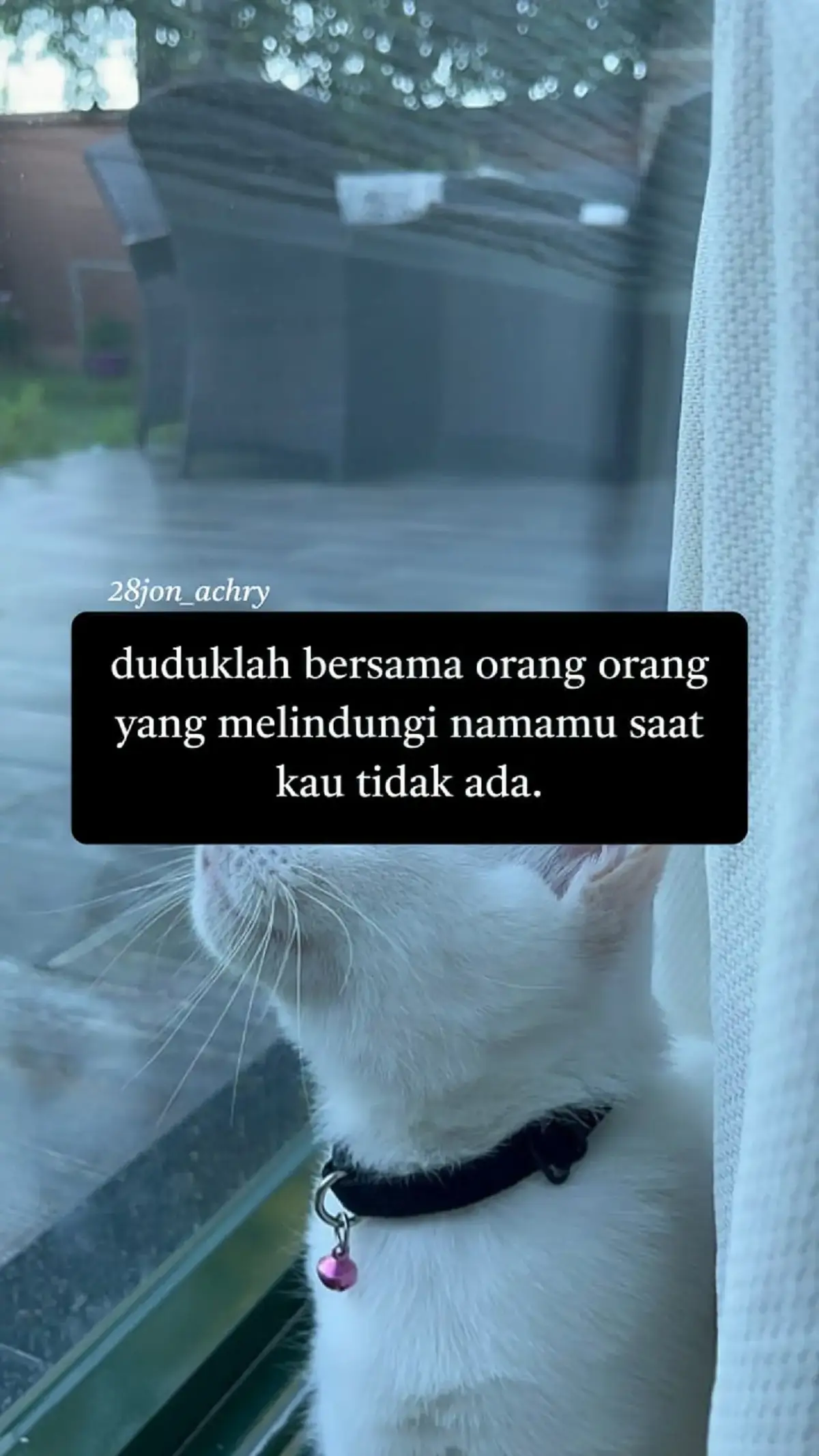 #28jon_archy #fyp #zmn14 #foryou #storrykatakata 