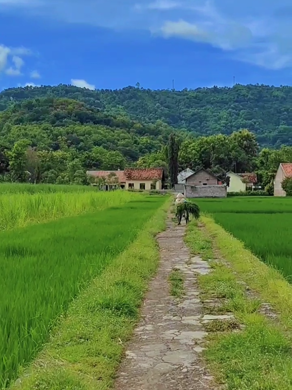 Klaten bagian selatan, perbatasan gunungkidul #klaten24jam #gunungkidul #jawapride #beranda #fyp 