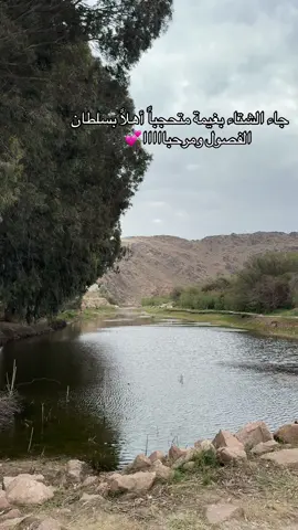 جاء الشتاء بغيمة متحجباً أهلاً بسلطان الفصول ومرحبااااا💕🎶#اكسبلور #foryou #fyp #خواطر #الشعب_الصيني_ماله_حل😂😂 