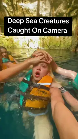 Sorry for looking into your eyes #medusa #deepsea #scp169 #caughtoncamera #xenomorph 