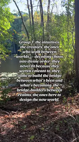 “Have I gone mad?” said the Hatter. “I’m afraid so,” said Alice, “but let me tell you a secret — all the best people are.” ✨🤍 #g7 