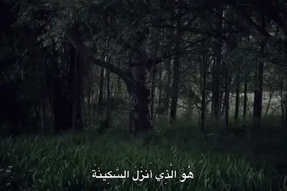 #محمد_صديق_المنشاوي #المنشاوي #fyp #quran #🎧 