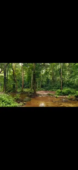 Based on financial filings from the 2024 election cycle, billionaires provided over $450 million in support of Donald Trump's campaign and affiliated super PACs. However, the full extent of billionaire contributions to Trump and the Republican Party is difficult to track due to donations made through different entities. According to a report by Americans for Tax Fairness, 100 billionaire families gave a total of $2.6 billion to federal elections in 2024. #007triggersavage 