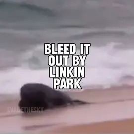 bleed it out by linkin park seal music video for @aidenlook  #seal #sealtok #linkinpark #lyrics #bleeditout 