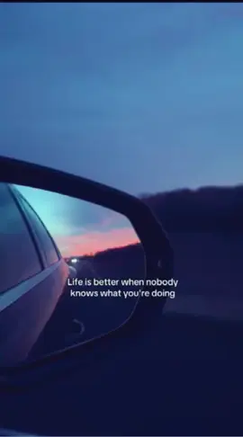 when nobody knows your plans #viraltiktok #motivational #fyppppppppppppppppppppppp #follow