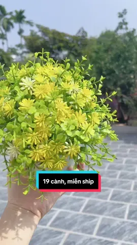 Decor phòng thì không thể thiếu chậu hoa nhỏ xinh này đúng không mọi người. Nhìn như hoa thật, dùng quanh năm ngày tháng không lo bị héo tàn. #chauhoamini #trangtriphongngu #decorphong #chauhoadeban 