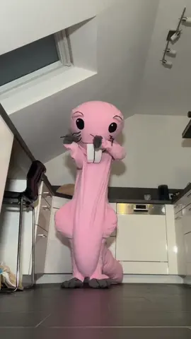 Dc:Me Rufus Mood #rufus #costume #DIY #germany 