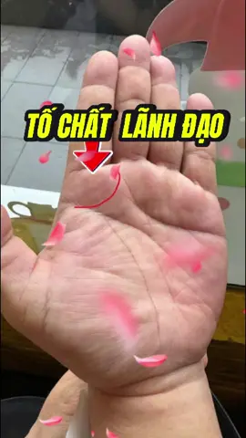 #dcgr #xemchitay #trending 