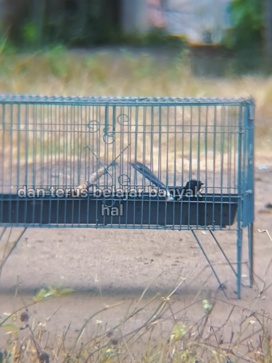 jangan khawatir reji besinya kuat dan sudah anti karat #kerambamurah #tempatmandiburung #kerambaburung #keramba #kerambaburung 