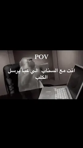 ياخي حبكت يخرب يوم وصلت ستريك 534#مالي_خلق_احط_هاشتاقات #وعلى_نياتكم_تُرزقون 