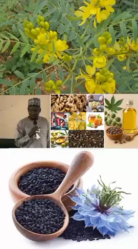 #codeviourtiktok #nigertiktok🇳🇪 #nigeriatiktok🇳🇬🇳🇬🇳🇬 #kwatano #gana 