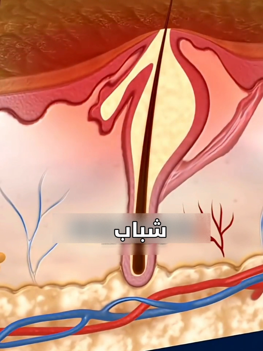ماذا يحدث إذا تناولت المرأة هذه الأطعمة لمدة أسبوعين؟