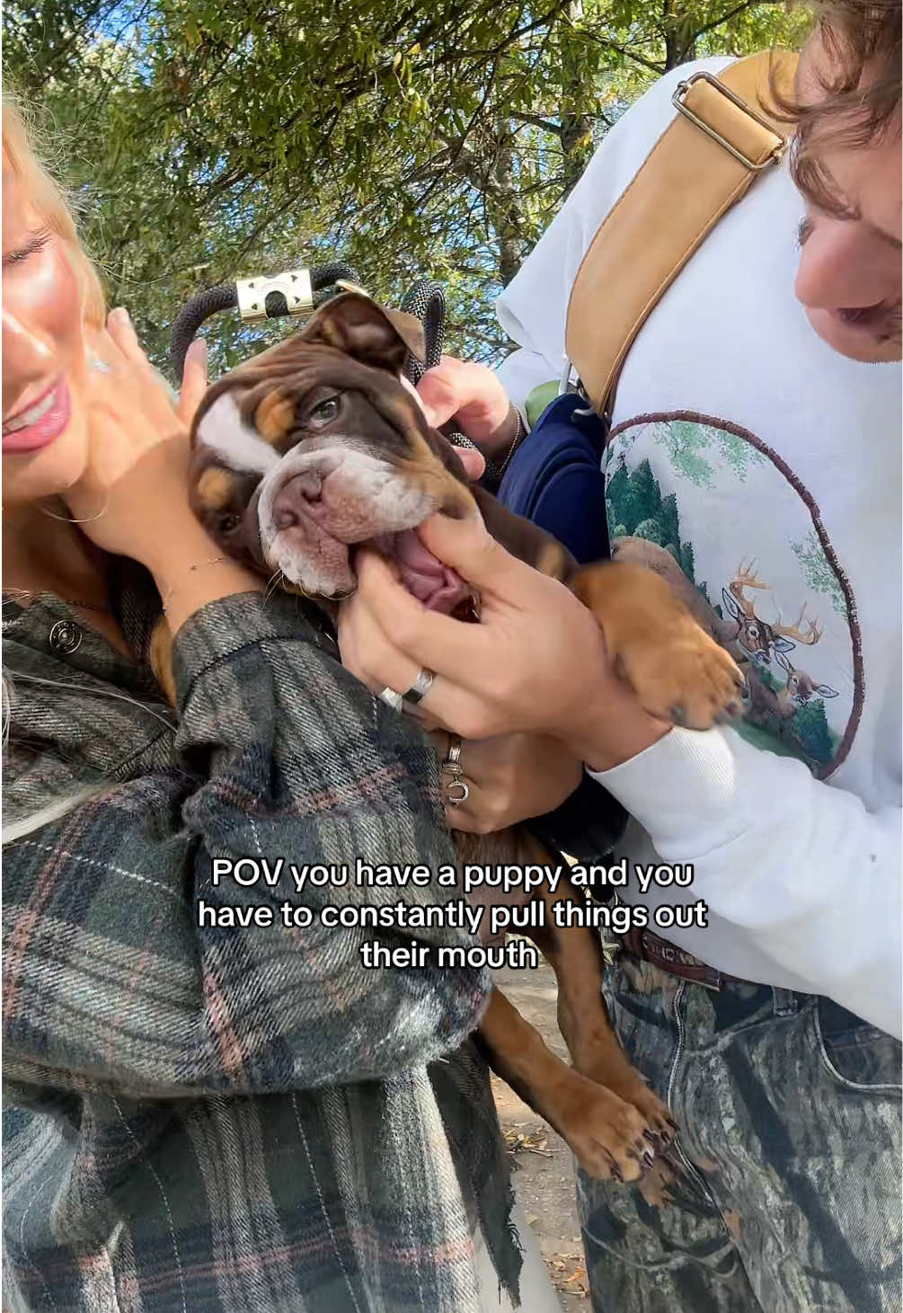 Never ending game #puppy #englishbulldog 