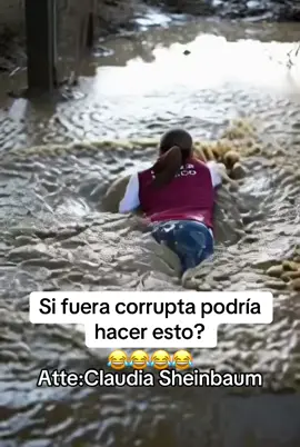 #claudiasheimbaum #pozarica #4t 