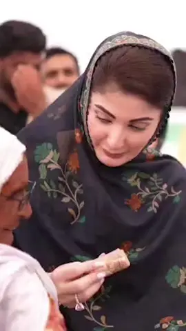 💚🙌 #maryamnawaz #maryamnawazsharif #pmlntiktok #fyp 