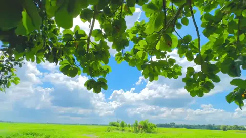 ########❤️❤️❤️ #########❤️❤️❤️ 