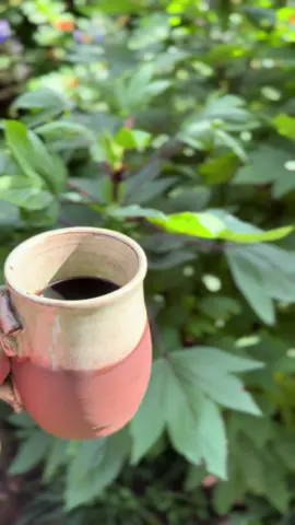 What was performing on your morning garden walk today?  #garden #gardening #permaculture #homestead #homesteading 