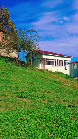 #karadenizvideolari #ordu52 #karadenizvideolari #ordu52 #karadenizkızı 