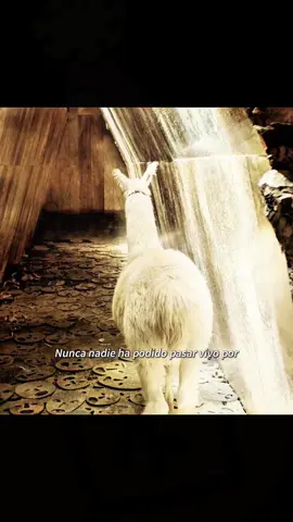 #movie #film #usa🇺🇸 