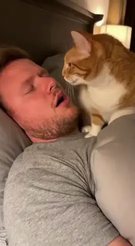 cat can't handle snoring anymore 😔 