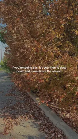 #fallthings #romanticizeyourlife #fypage 