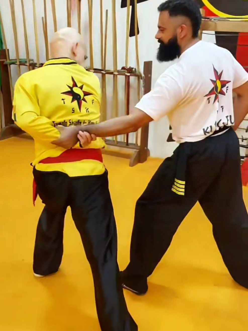 TSKF Kung Fu Equilíbrio em todos os sentidos #tskf #kungfu #chikung #artemarcial #defesapessoal