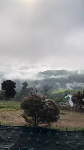 #ใช้ชีวิต 