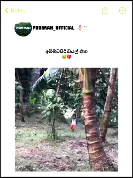 ඒකත් හොයා ගත්තා 😂💔 #CapCut #foryou #matara #public #trending 