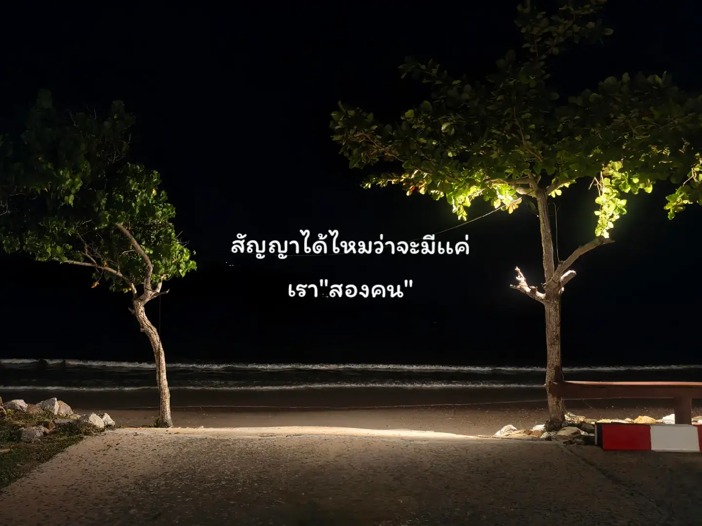 🌻 #fyp #foryoupage #เทรด 