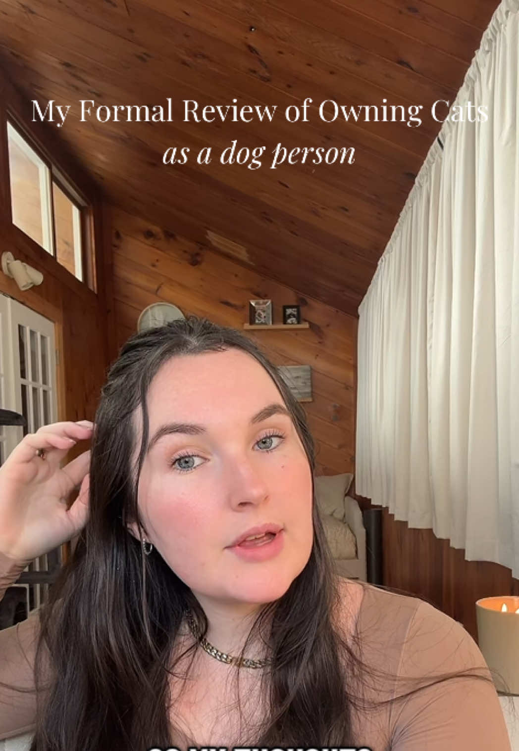 My thoughts on owning cats as a dog person 