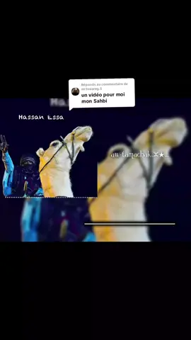 Réponse à @mr.touareg.5 #awtamachak💜🦋 #fouryoupage #شعب_الصيني_ماله_حل #agadez_guida🤩🎸 #imidiwan❤️ 