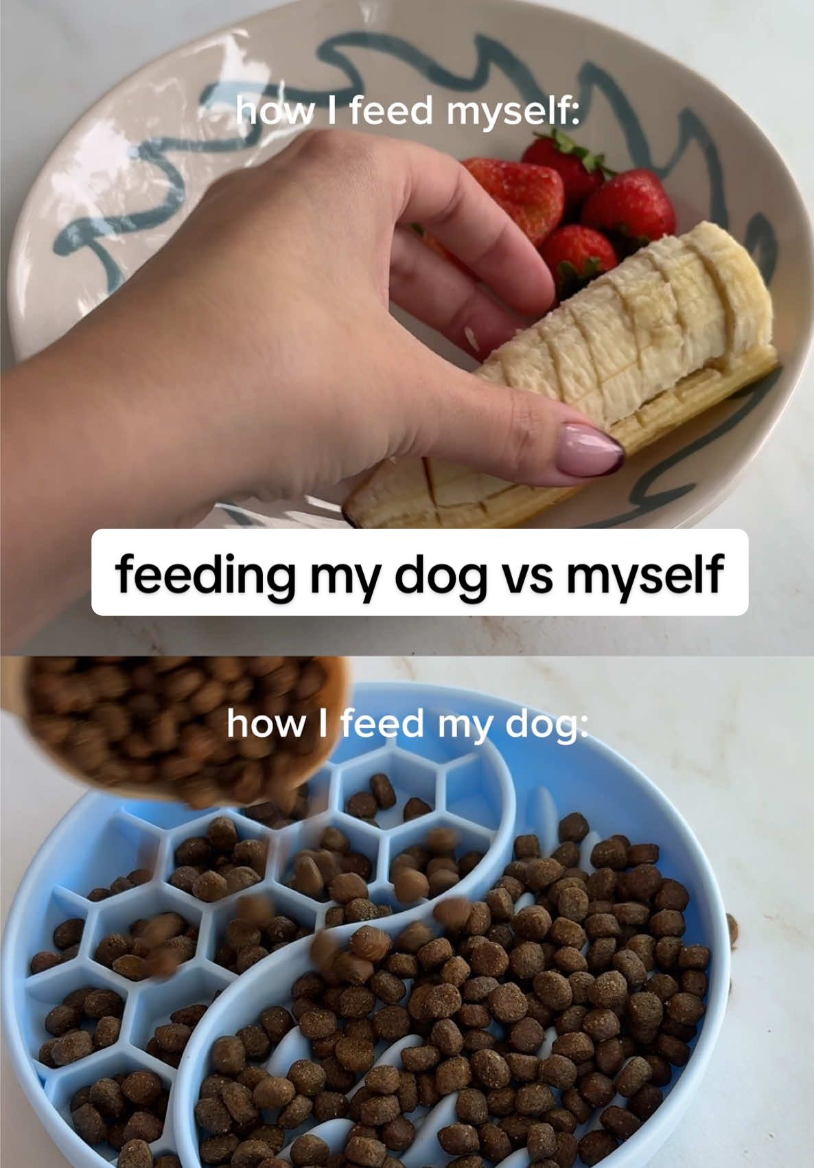 when you and your dog both eat a healthy balanced breakfast ✨ #dogtok #dogfood 