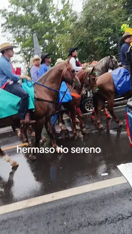 #panama🇵🇦 #Dairalina #chiriqui #riosereno 