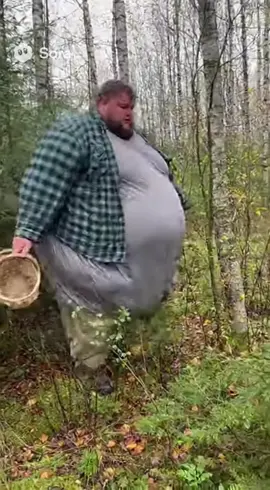 Andare a funghi a sfondamento  è la nuova tecnica dei fungaioli trevisani #porcini #funghi 