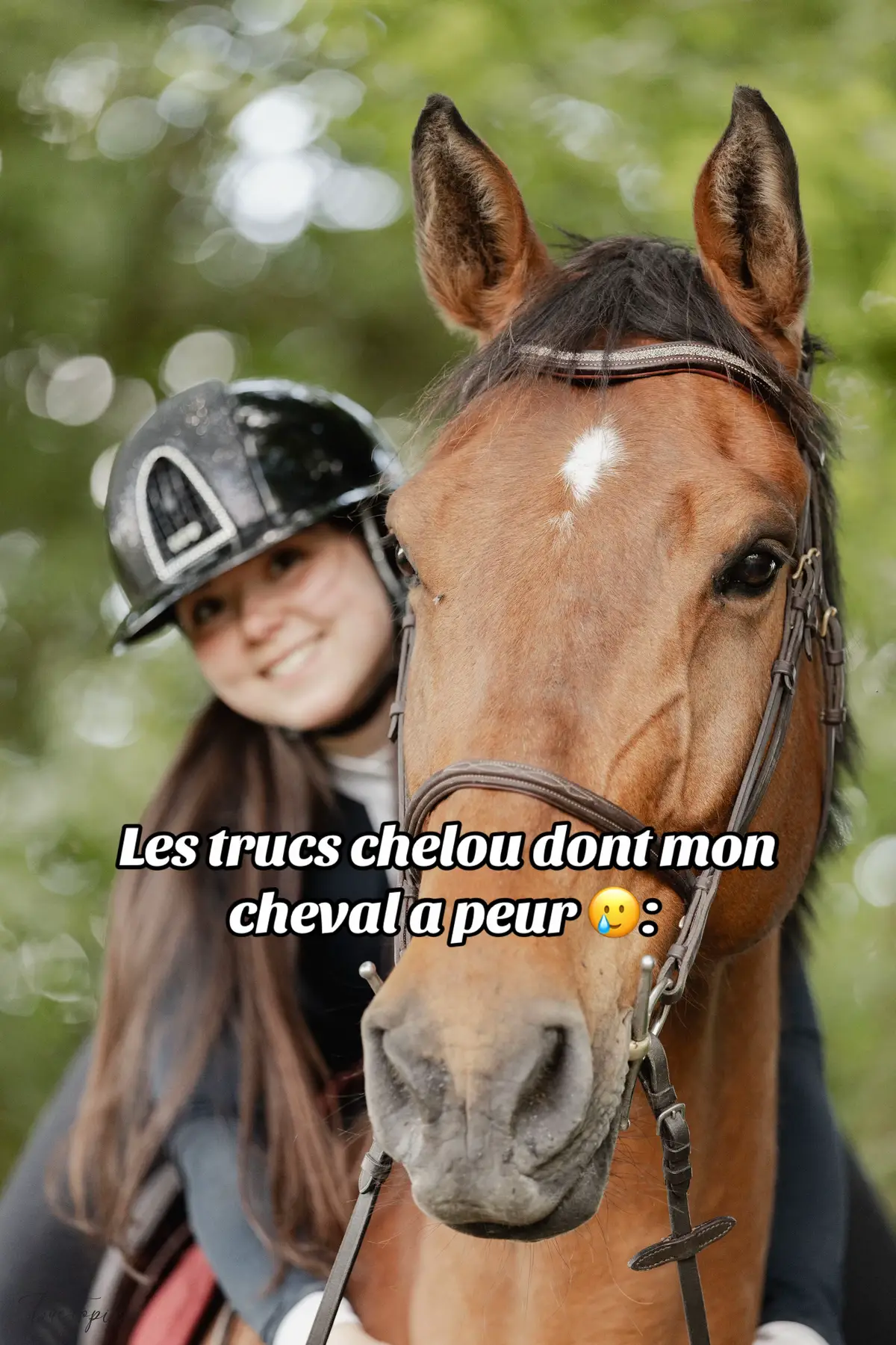 #cheval #horse #pony #fail #humour 
