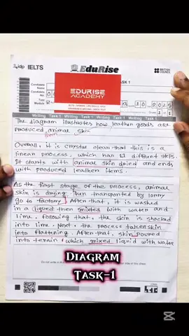 Diagram Feedback Video Ielts #fypシ #ielts #ieltswriting #foryou #ieltspreparation 