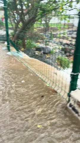 Muita chuva em lapão #foryoupage #chuva #nordeste 