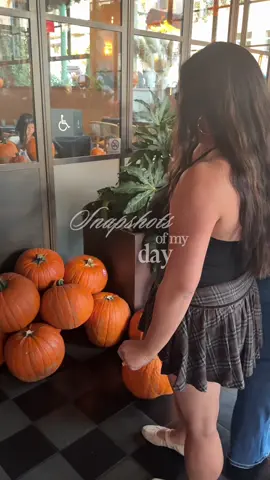Sunday in my life as a content creator visiting San Diego 📸🎃🤍 main highlight: pumpkin painting + sushi + fall cocktails at Brisa in Little Italy!  #contentcreator #diml #sandiegohiddengems #halloweenactivities #sandiegofoodie 