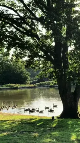 to travel is to live 