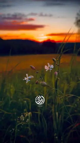 لكن رؤية الله أعظم مافيها  #الجنة #الدنيا